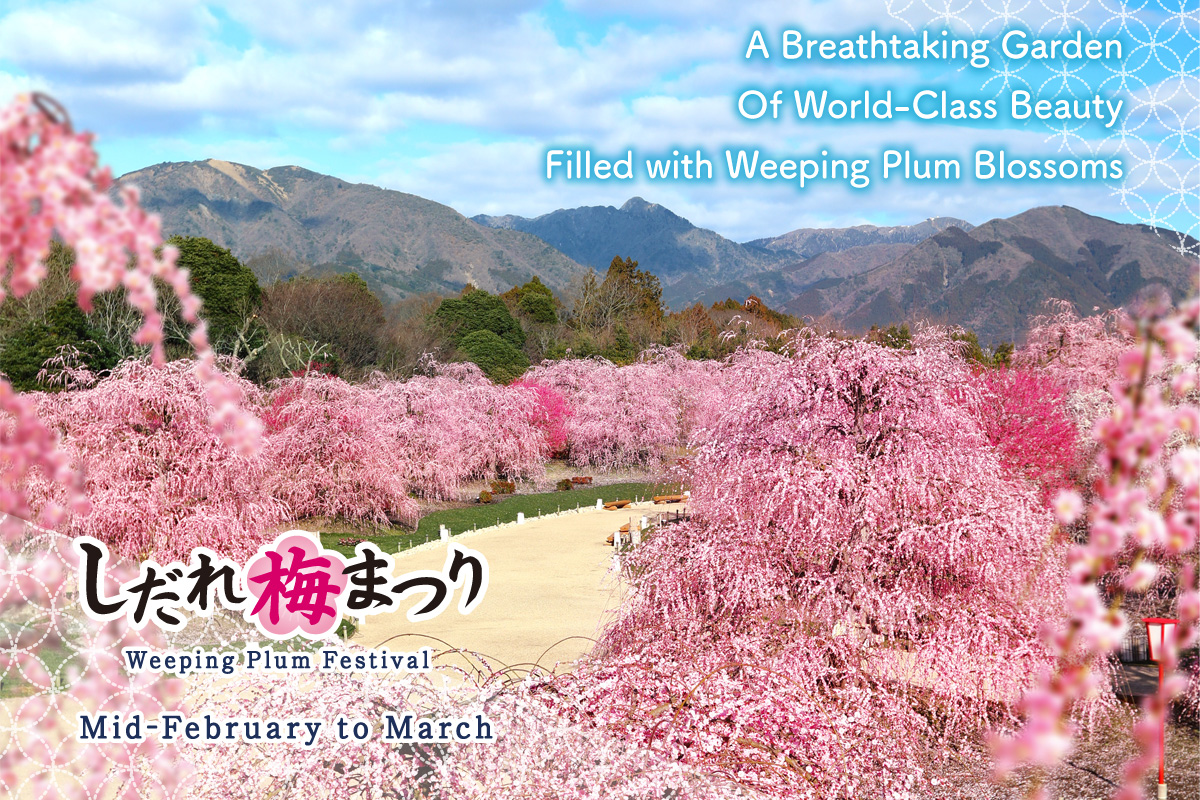 Suzuka Forest Garden