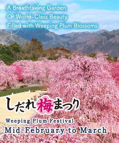 Suzuka Forest Garden