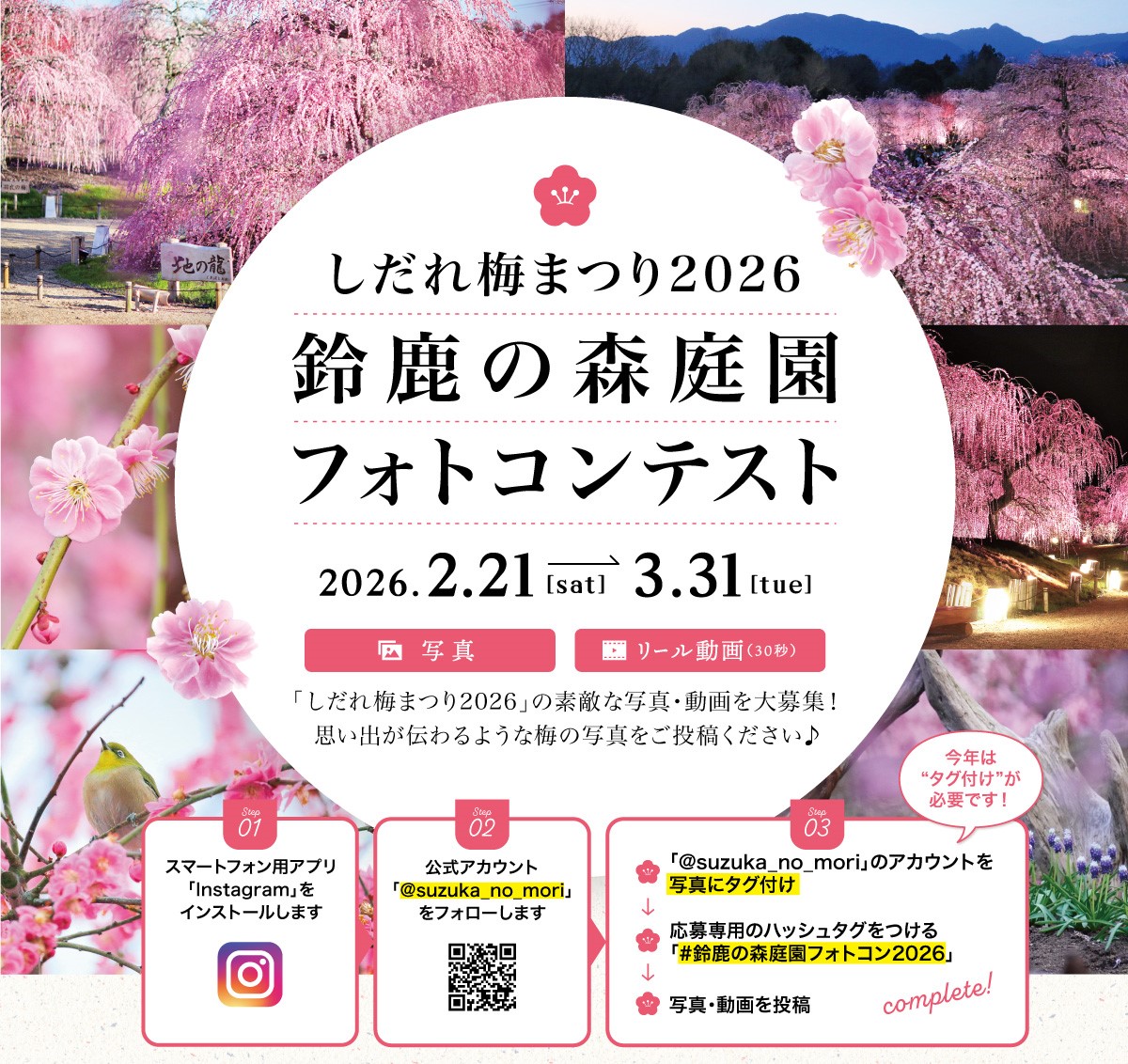 しだれ梅まつり　鈴鹿の森庭園フォトコンテスト