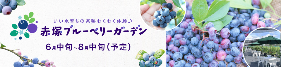 赤塚ブルーベリーガーデン