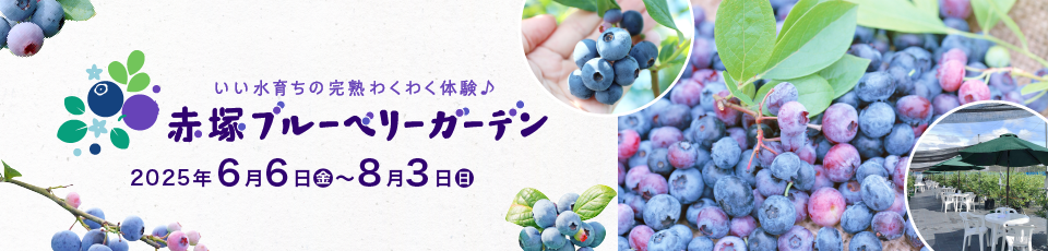 赤塚ブルーベリーガーデン