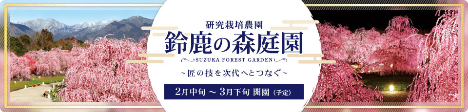 鈴鹿の森庭園